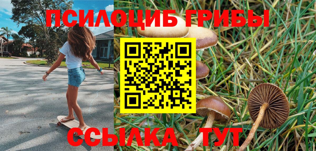 Псилоцибиновые грибы MAGIC MUSHROOMS  Вход с VPN  купить  сайты  Галлюциногенные грибы ЛСД  Каменск-Шахтинский 
